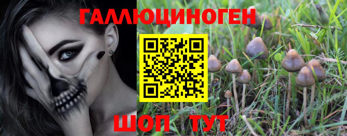 Псилоцибиновые грибы прущие грибы  купить наркотик  Урус-Мартан  Вход с VPN  Галлюциногенные грибы Magic Shrooms 