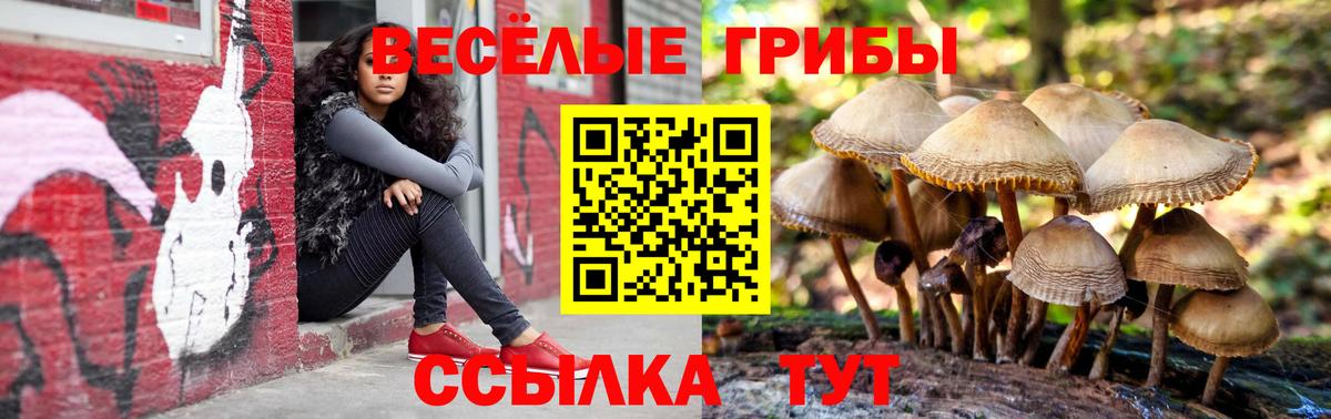 Галлюциногенные грибы ЛСД Урус-Мартан
